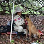 A Belgian Shepherd Malinois explosive detection dog and his handler. A Belgian Shepherd Malinois explosive detection dog and his handler.