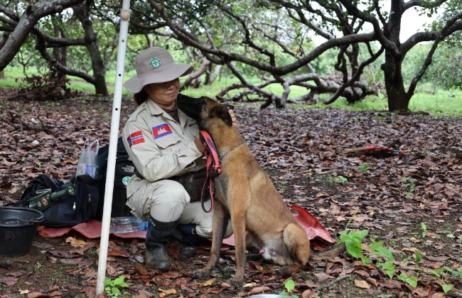 A Belgian Shepherd Malinois explosive detection dog and his handler. A Belgian Shepherd Malinois explosive detection dog and his handler.