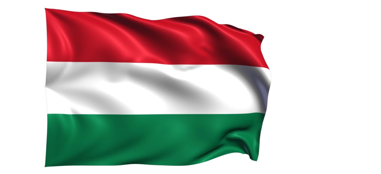 The Hungarian flag.