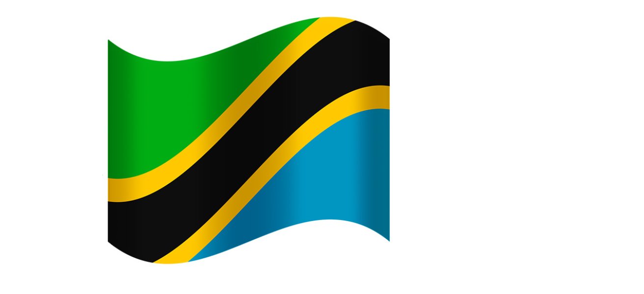 Tanzania flag.